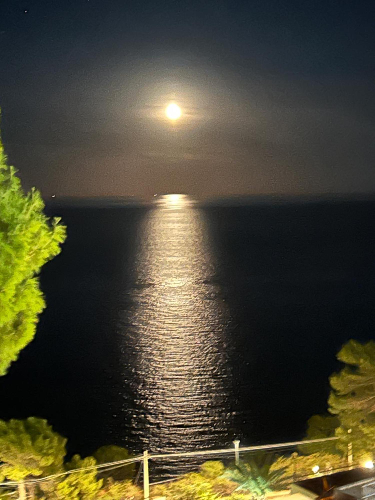 Mondello Addaura Addisio Suite Palermo Dış mekan fotoğraf